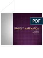 Proiect Matematica