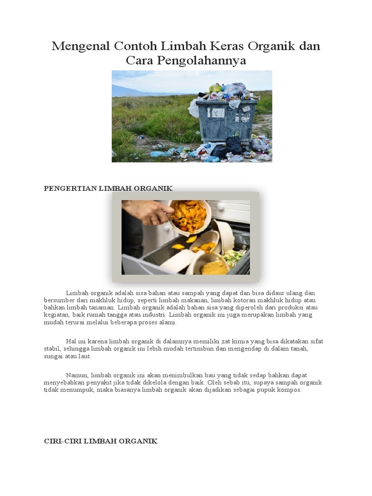 Mengenal Contoh Limbah Keras Organik Dan Cara Pengolahannya | PDF