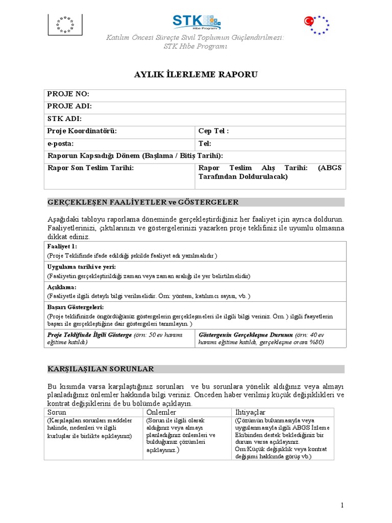 Aylik Ilerleme Raporu | PDF