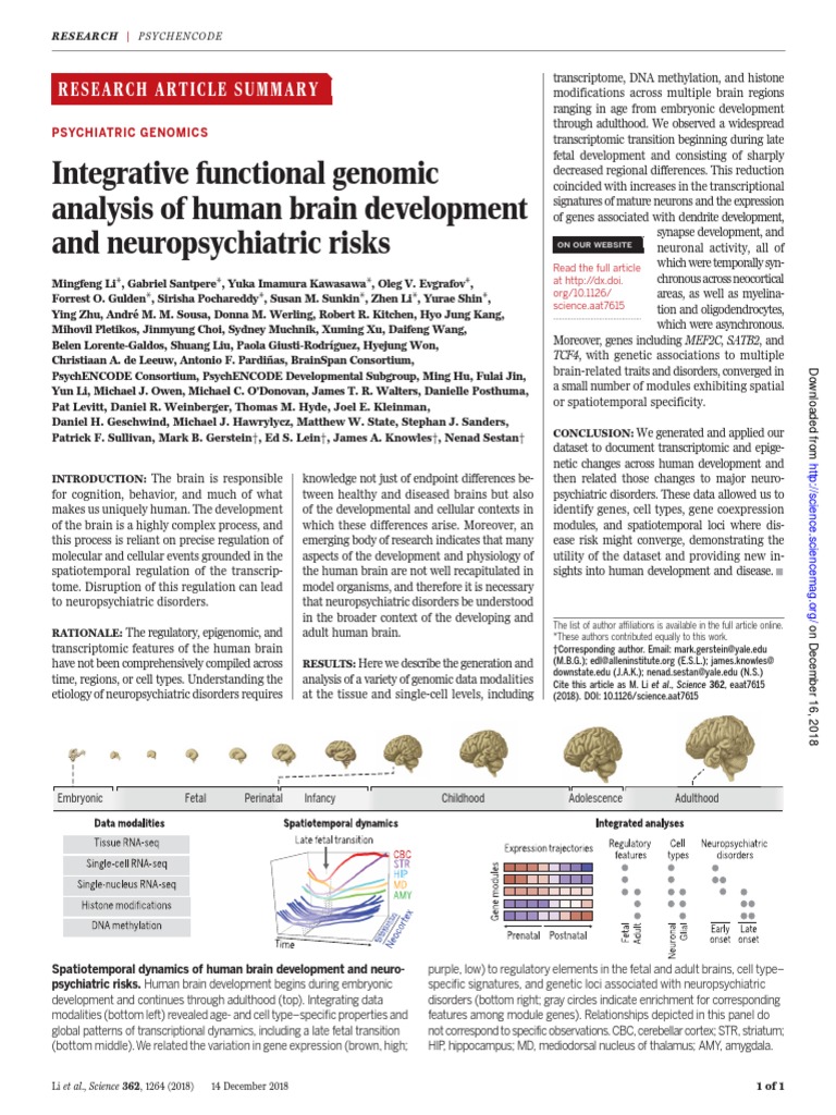 Human Brain Development & Risks | PDF | Genetics | Biotechnology