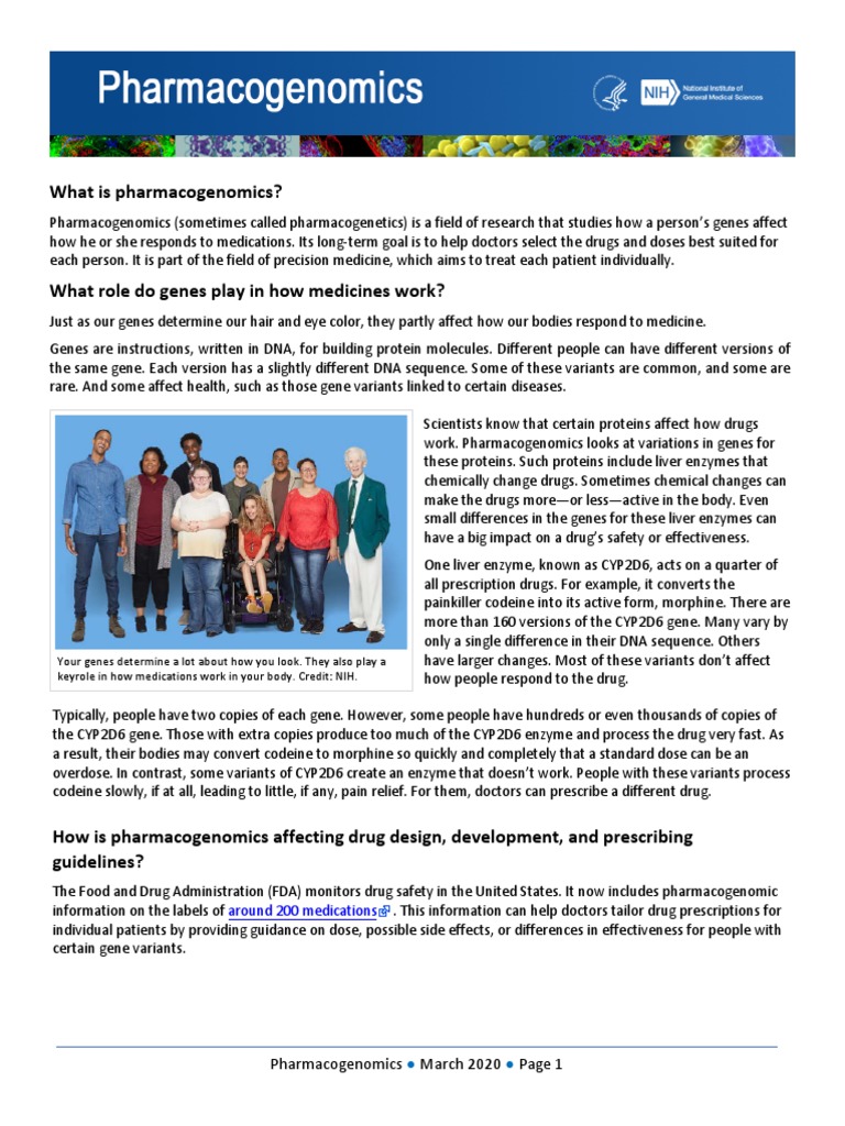 Understanding Pharmacogenomics | PDF | Pharmacogenomics | Personalized ...