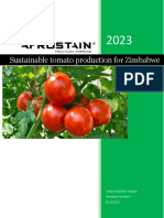 Sustainable Tomato Production For Zimbabwe