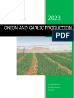 Afrostain Farmtech Onion Production Guide