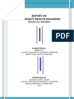 Download Report on community health Diagnosis by Rubina Pulami SN65527540 doc pdf