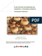 Estudos Cogumelo Sagrado - Txai Samuel (Flavio Psilodimitri)