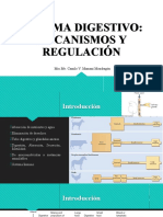 Sistema Digestivo: Mecanismos Y Regulación: MSC - Mv. Camilo V. Mamani Mondragón