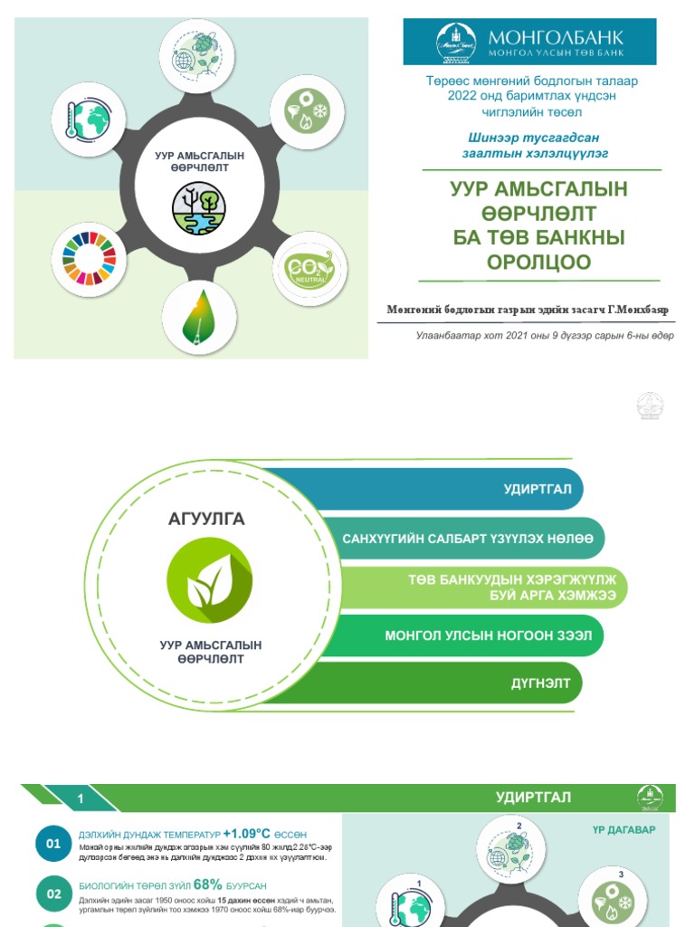 Climate Risk | PDF