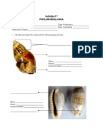 Act. 7 - Phylum Mollusca - Worksheet