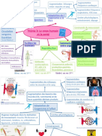 Carte Mentale 3è Th3