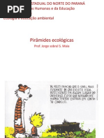 Piramides ecologicas