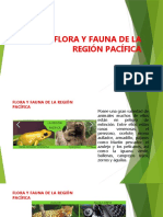 Flora y Fauna de La Región Pacífica Angello