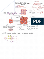 SF2-Lecture-02 Biomolecules Notes