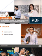 Pautas Del Programa Gei