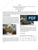 Laboratorio de Fisica-1