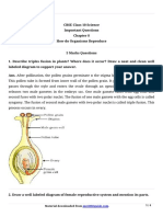 10 Science Imp Ch8 5