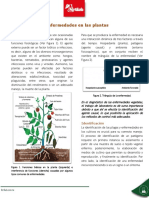 Enfermedades en Las Plantas PDF