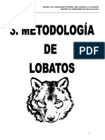 Metodologc3ada de Lobatos