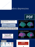 Cerebro Depressivo