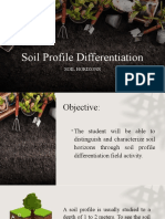Soil Profile PPT 2