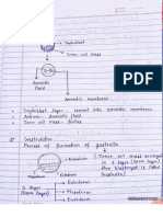 Biology Work (24.05.23)