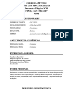 Curriculum Vitae Jose Luis Rincon