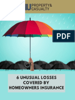 6 Unusual Losses Covered by Home Insurance