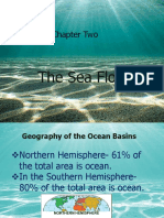 Online Session 2 - The Seafloor