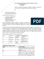 Manejo de Las Patologias de La Esquina Posteromedial y Lateral de Rodilla Por Artros