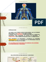 U2-1 Sistema Nervioso Parte 1