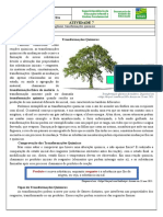 Atividade 7 6o Ano CN Misturas Homogeneas e Heterogeneas Transformacoes Quimicas