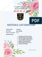 Sistema Locomotor - Docx