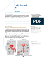 Bio Reproductive System