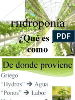 Hidroponía