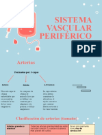 Equipo 2 (Sistema Vascular Periférico)