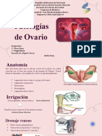 Patologias de Ovario