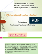 Ciclo Menstrual o Uterino