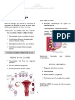 Histologia Bucal Resumo