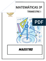 3 Maestro Matematicas 1 T