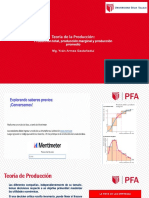 1.-Diapositivas - Teoría Del Productor