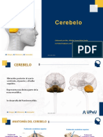 7PPT RESUMEN Cerebelo