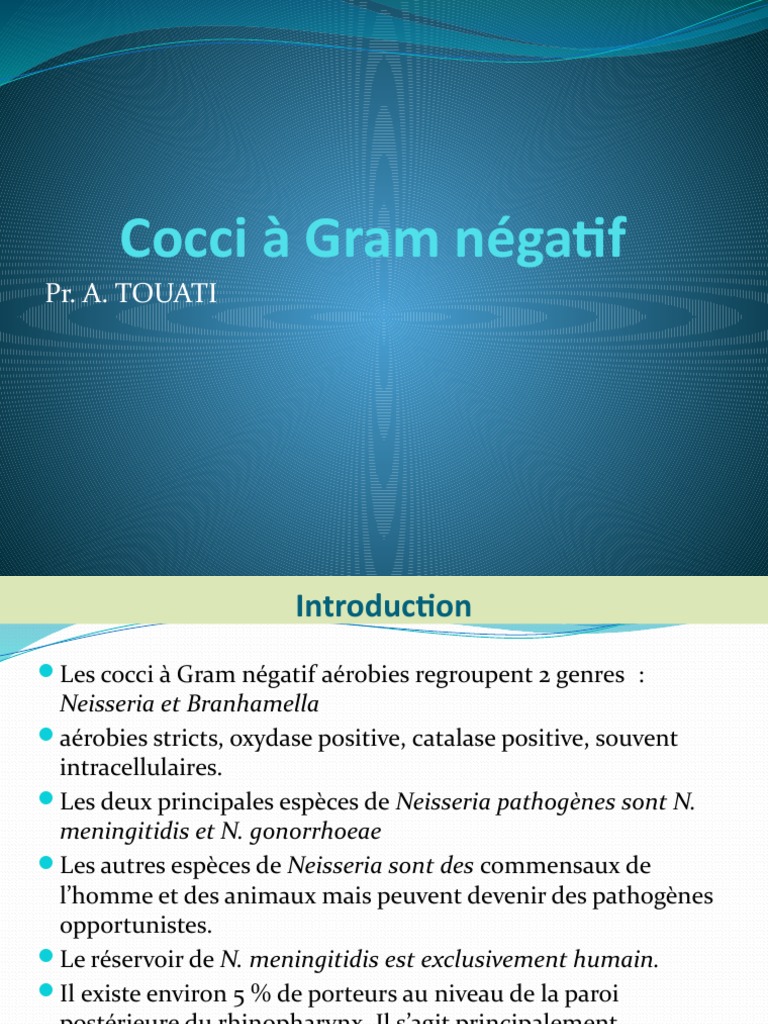 Cocci À Gram Négatif by TOUATI PDF Lipopolysaccharide Cellule — free download