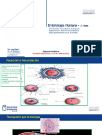 Embriología 2a. Parte