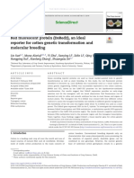 Red Fluorescent Protein (Dsred2), An Ideal Reporter For Cotton Genetic Transformation and Molecular Breeding