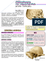 Articulación Temporomandibular