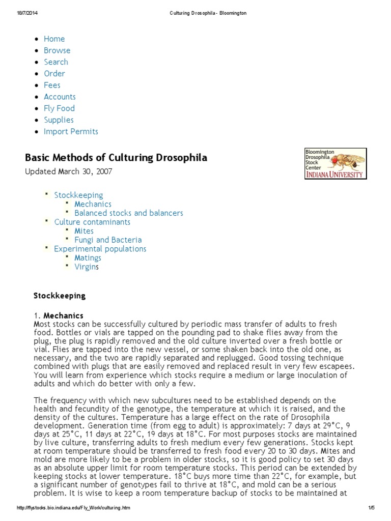 Culturing Drosophila Bloomington Download Free PDF Zygosity Biology