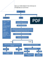 Alur Pemeriksaan Specimen