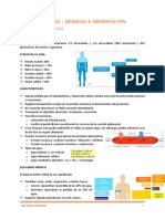 TEMA 31 - Bebidas e Hidratación - Nutrición PDF