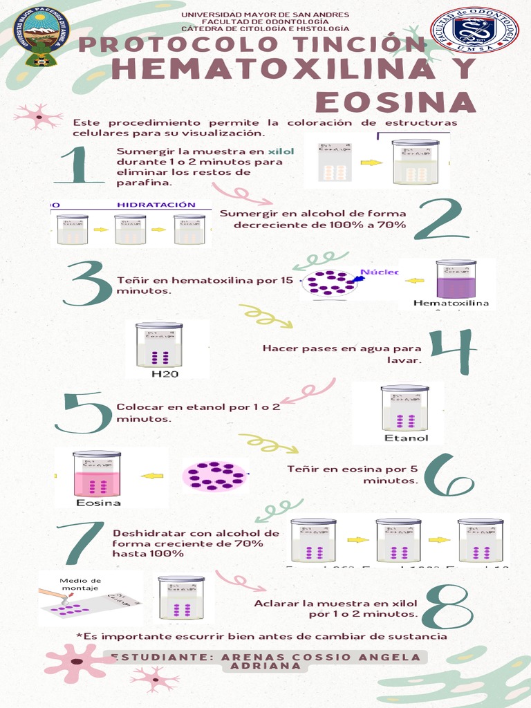 Protocolo de Tinción Hematoxilina &eosina | PDF