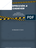 Inspeccion A Cadaver