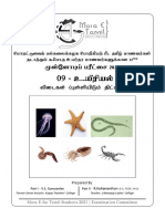 21 Mora Bio-Scheme